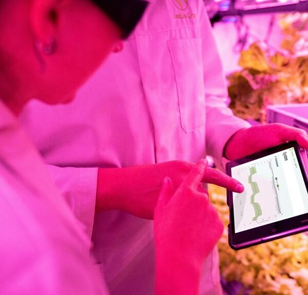 digital growth maximization tools