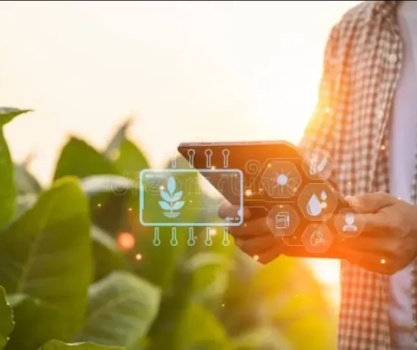 Streamlining Tobacco Preparation With Advanced Leaf Cutting Technology