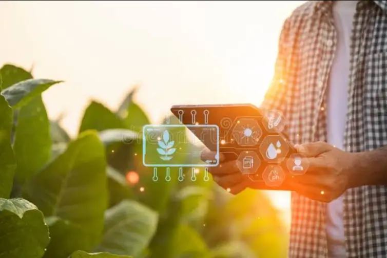 Streamlining Tobacco Preparation With Advanced Leaf Cutting Technology